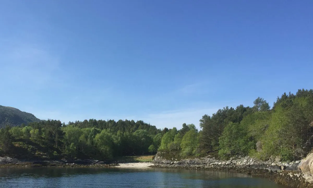 Langøybukta: Fin sandstrand innerst i bukta.