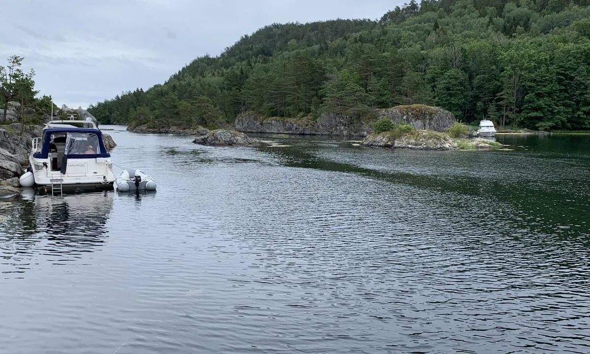 Langøykilen indre: Innløpet sett fra indre kil.