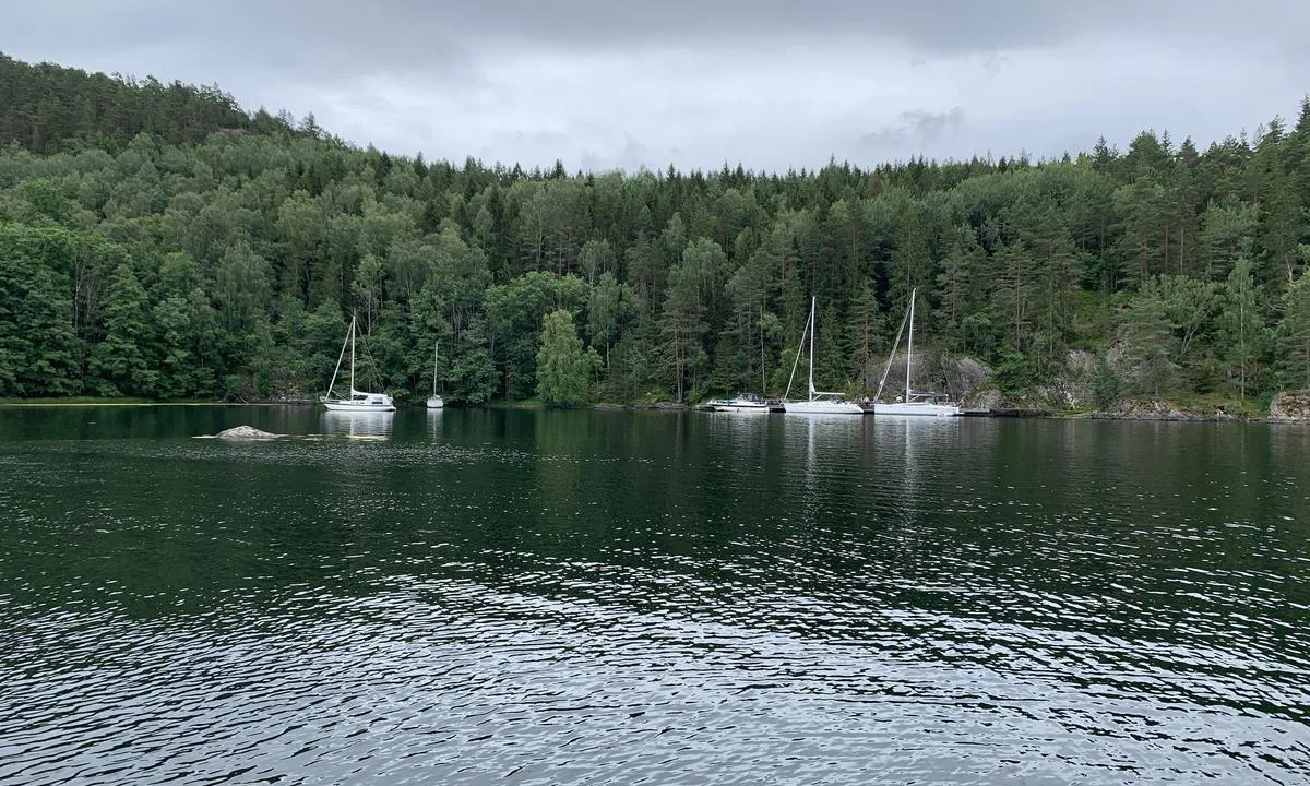 Langøykilen indre: {"base": "no", "no": "Brygga og svaiplasser i s\u00f8r. Her er det en del skygge.", "se": "Bryggan och svajplatser i s\u00f6der. H\u00e4r \u00e4r det en del skugga.", "en": "The pier and mooring spots to the south. There is some shade here.", "da": "Bryggen og svingpladserne i syd. Her er der en del skygge."}