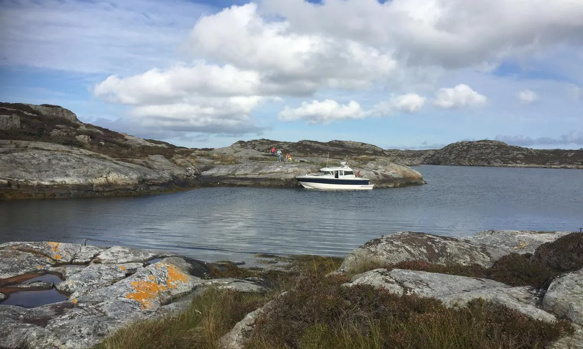 Langøyna: {"base": "no", "no": "Svaberg, sett mot nordvest. Bolter i fjellet flere steder.", "se": "Klipph\u00e4llar, sett mot nordv\u00e4st. Bultar i berget p\u00e5 flera st\u00e4llen.", "en": "Rocky outcrops, viewed towards the northwest. Bolts in the rock at several places.", "da": "Sk\u00e6rg\u00e5rdsklippe, set mod nordvest. Bolte i fjeldet flere steder.", "fr": "Rochers plats, vue vers le nord-ouest. Boulons dans la roche \u00e0 plusieurs endroits.", "de": "Sch\u00e4ren, Blick nach Nordwesten. Mehrere Bolzen im Felsen.", "es": "Rocas pulidas, vistas hacia el noroeste. Perno en la roca en varios lugares.", "it": "Scogliere levigate, viste verso nord-ovest. Bulloni nella roccia in diversi punti.", "pt": "Rocha lisa, vista para noroeste. Parafusos na rocha em v\u00e1rios locais.", "nl": "Rotsen, gezien naar het noordwesten. Op meerdere plaatsen zijn bouten in de rotsen.", "pl": "Nagie ska\u0142y, widziane w kierunku p\u00f3\u0142nocno-zachodnim. \u015aruby kotwi\u0105ce w skale w kilku miejscach.", "uk": "\u0421\u043a\u0435\u043b\u0456, \u0432\u0438\u0434 \u043d\u0430 \u043f\u0456\u0432\u043d\u0456\u0447\u043d\u0438\u0439 \u0437\u0430\u0445\u0456\u0434. \u0411\u043e\u043b\u0442\u0438 \u0432 \u0441\u043a\u0435\u043b\u044f\u0445 \u0443 \u0434\u0435\u043a\u0456\u043b\u044c\u043a\u043e\u0445 \u043c\u0456\u0441\u0446\u044f\u0445.", "ro": "St\u00e2nci netede, privite spre nord-vest. Bol\u021buri \u00een st\u00e2nc\u0103 \u00een mai multe locuri.", "tr": "Kuzeybat\u0131ya kar\u015f\u0131 g\u00f6r\u00fclen kayal\u0131klar. \u00c7e\u015fitli yerlerde da\u011fda c\u0131vatalar.", "el": "\u0392\u03c1\u03b1\u03c7\u03ce\u03b4\u03b7\u03c2 \u03b1\u03ba\u03c4\u03ae, \u03bc\u03b5 \u03b8\u03ad\u03b1 \u03c0\u03c1\u03bf\u03c2 \u03c4\u03b1 \u03b2\u03bf\u03c1\u03b5\u03b9\u03bf\u03b4\u03c5\u03c4\u03b9\u03ba\u03ac. \u039c\u03c0\u03bf\u03c5\u03bb\u03cc\u03bd\u03b9\u03b1 \u03c3\u03c4\u03bf\u03bd \u03b2\u03c1\u03ac\u03c7\u03bf \u03c3\u03b5 \u03b4\u03b9\u03ac\u03c6\u03bf\u03c1\u03b1 \u03c3\u03b7\u03bc\u03b5\u03af\u03b1.", "cs": "Skalnat\u00e9 pob\u0159e\u017e\u00ed, pohled na severoz\u00e1pad. Na n\u011bkolika m\u00edstech jsou v hor\u00e1ch \u0161rouby.", "hu": "Szirt, \u00e9szaknyugat fel\u00e9 n\u00e9zve. T\u00f6bb helyen csavarokat f\u00fartak a szikl\u00e1ba.", "fi": "Kalliot, katso pohjois-l\u00e4nteen p\u00e4in. Pultit kiinnitettyn\u00e4 kallioon useissa paikoissa.", "bg": "\u0421\u043a\u0430\u043b\u0438, \u0433\u043b\u0435\u0434\u0430\u043d\u0438 \u043d\u0430 \u0441\u0435\u0432\u0435\u0440\u043e\u0437\u0430\u043f\u0430\u0434. \u0411\u043e\u043b\u0442\u043e\u0432\u0435 \u0432 \u0441\u043a\u0430\u043b\u0438\u0442\u0435 \u043d\u0430 \u043d\u044f\u043a\u043e\u043b\u043a\u043e \u043c\u0435\u0441\u0442\u0430.", "sr": "Stene, gledano prema severozapadu. Bolcni u steni na vi\u0161e mesta.", "et": "Kaljurahnud, suunaga loode. Mitmes kohas on kalju k\u00fcljes poldid.", "lv": "Klints, skat\u012bjums uz zieme\u013crietumiem. Klint\u012b vair\u0101k\u0101s viet\u0101s ier\u012bkoti stiprin\u0101jumi.", "lt": "Uolos, \u017ei\u016brint \u012f \u0161iaur\u0117s vakarus. Kai kuriose vietose uolos yra su var\u017etais."}