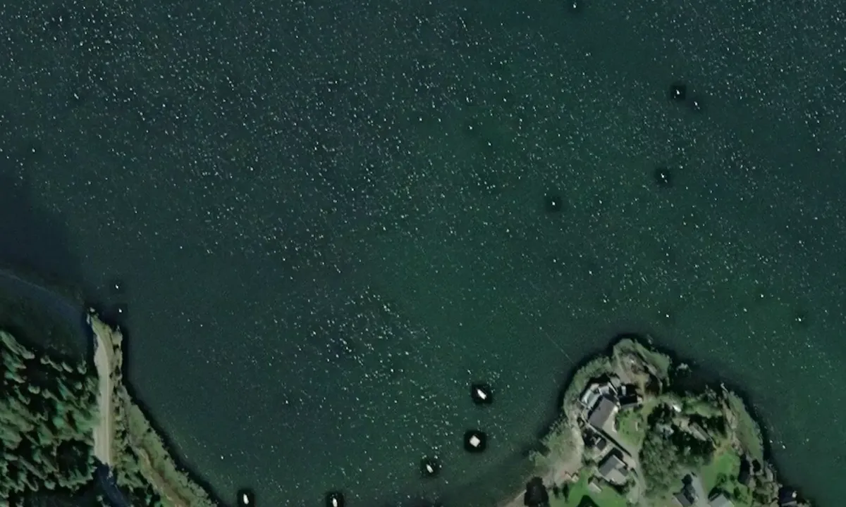 Satelite image of Langtangen