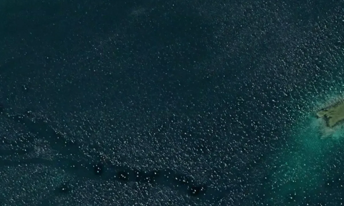 Satelite image of Langvåpollen