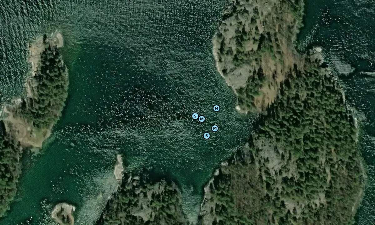 Satelite image of Långvik