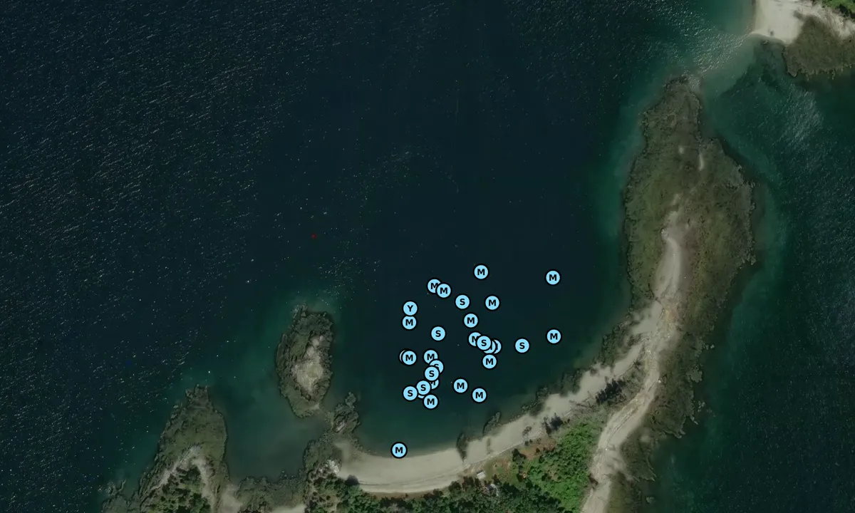 Satelite image of Lasell Island