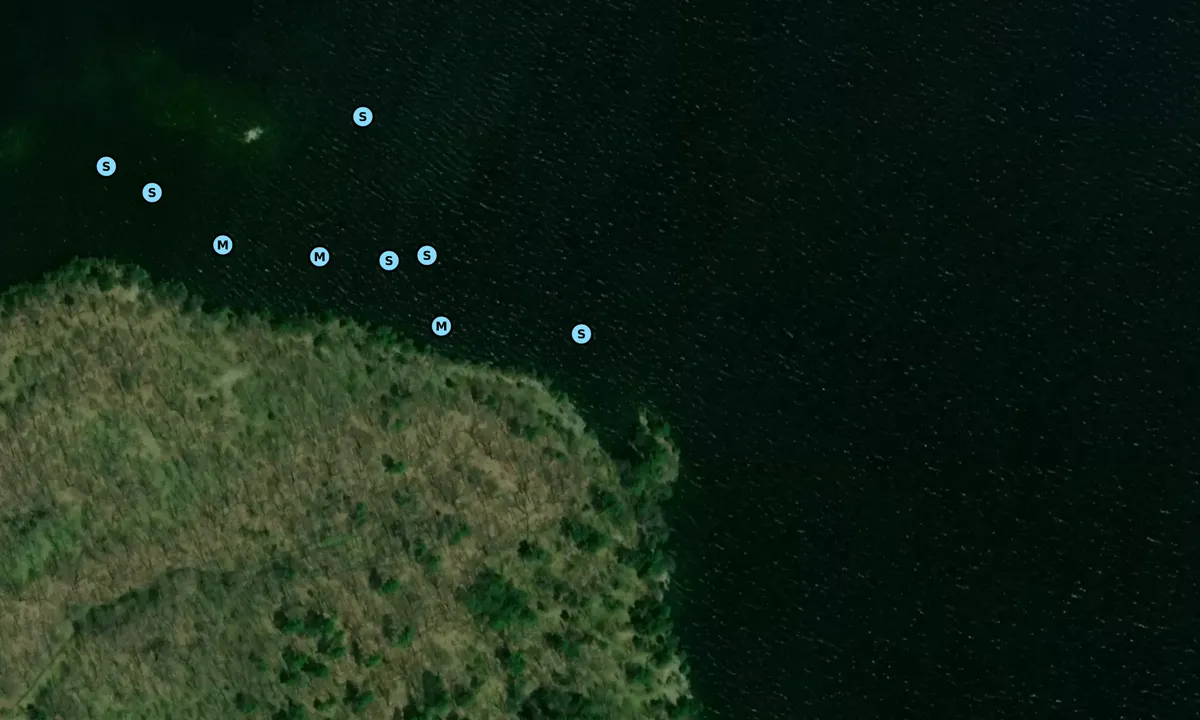 Satelite image of Leek Island - East