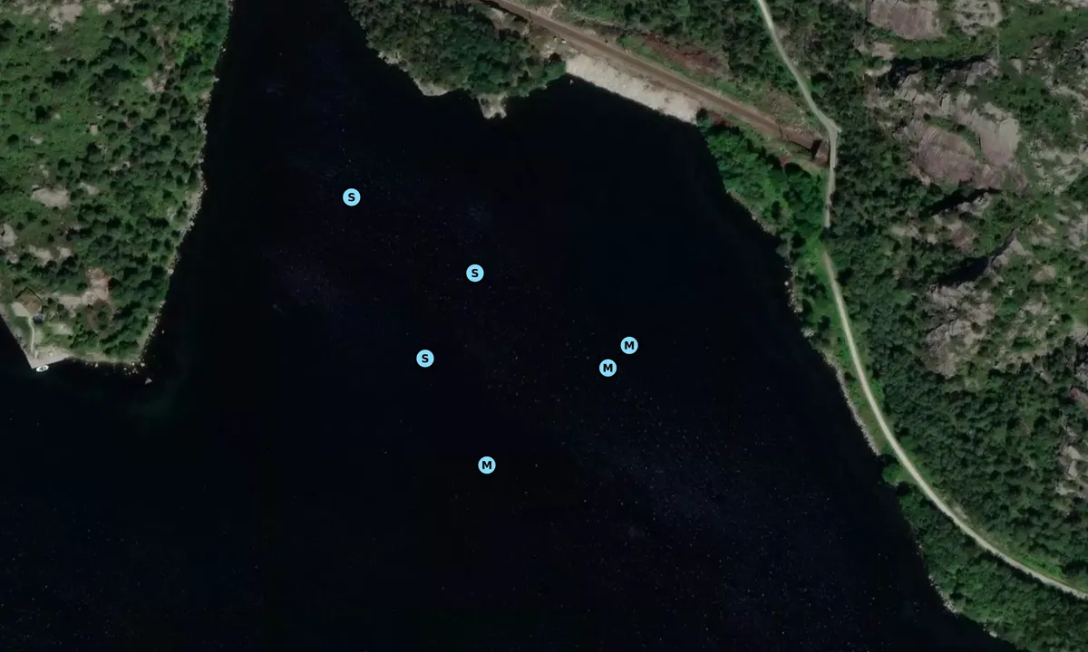 Satelite image of Leidlandsbukta