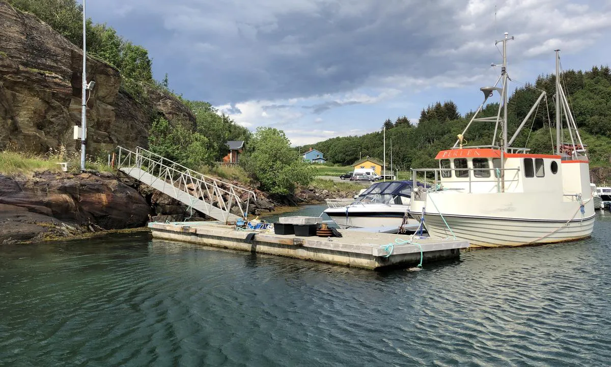 Leinesodden Marina: {"base": "no", "no": "I 2021 var det flere ledige plasser i havna, og du m\u00e5 kontakte havnesjefen for \u00e5 finne ut hvor du kan fort\u00f8ye", "se": "\u00c5r 2021 fanns det flera lediga platser i hamnen, och du m\u00e5ste kontakta hamnchefen f\u00f6r att ta reda p\u00e5 var du kan f\u00f6rt\u00f6ja", "en": "In 2021, there were several available berths in the harbor, and you must contact the harbor master to find out where you can moor.", "da": "I 2021 var der flere ledige pladser i havnen, og du skal kontakte havnefogeden for at finde ud af, hvor du kan fort\u00f8je"}