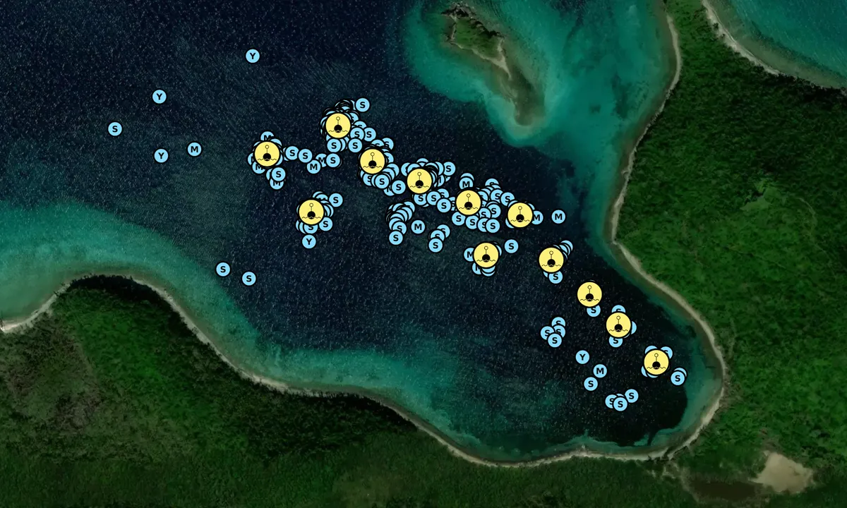 Satelite image of Leinster Bay - Coral Bay