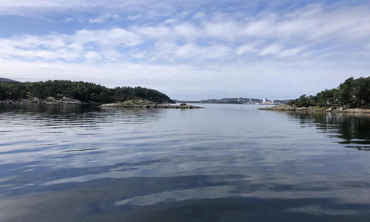 Leirvågen - Hommersåk: {"base": "no", "no": "Innseilinga til venstre fra s\u00f8r vest er grunn og smal. Ca. 2,8 meter dybde.", "se": "Inseglingen till v\u00e4nster fr\u00e5n sydv\u00e4st \u00e4r grund och smal. Ca. 2,8 meter djup.", "en": "The entrance to the left from the southwest is shallow and narrow. Approximately 2.8 meters depth.", "da": "Indsejlingen til venstre fra sydvest er lav og smal. Ca. 2,8 meter dybde."}