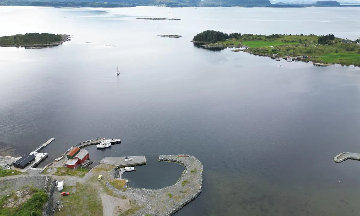 Leirvågvika