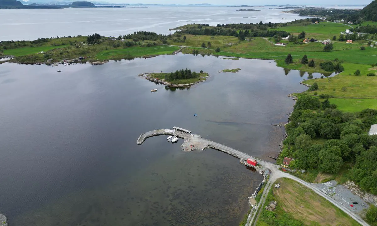 Leirvågvika