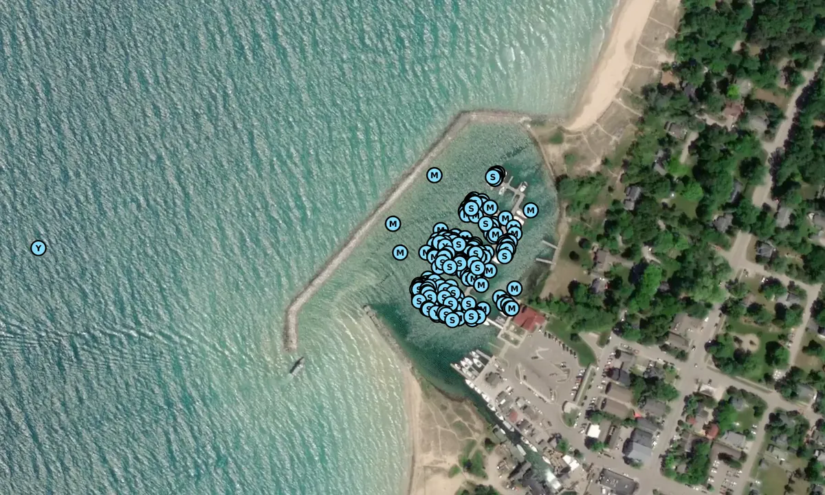 Satelite image of Leland Township Harbor - Leelanau