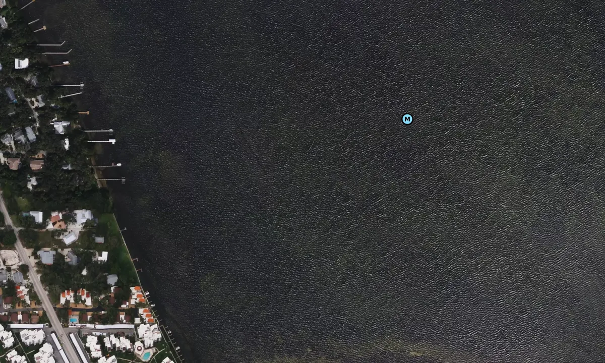 Satelite image of Lemon Bay 2