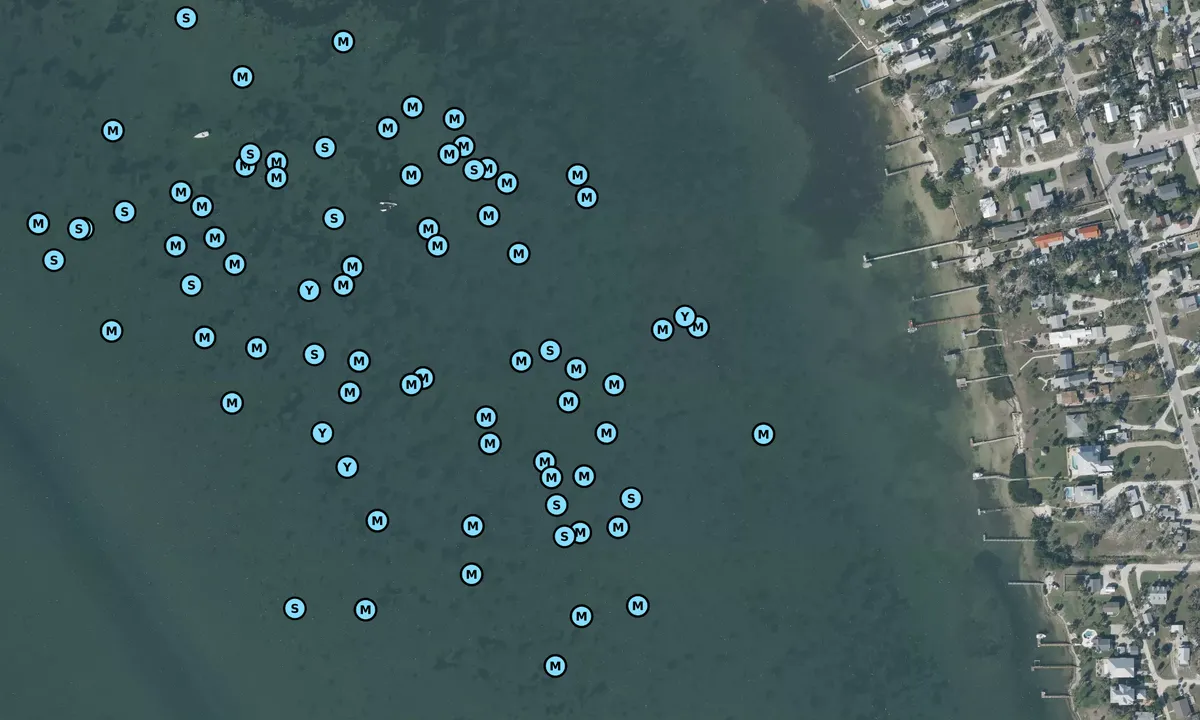 Satelite image of Lemon Bay