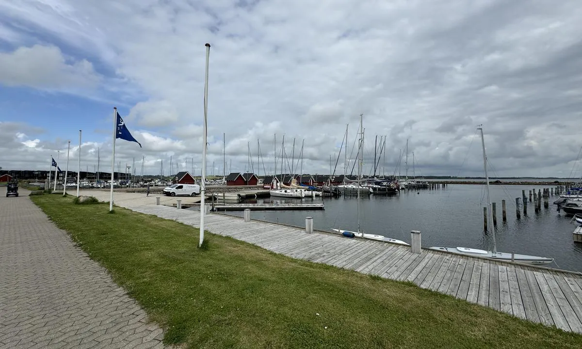Holstebro-Struer Lystbådehavn: {"base": "no", "no": "Struer \u00abSeilforening\u00bb", "se": "Struer \"Segelklubb\"", "en": "Struer 'Sailing Association'", "da": "Struer \u00abSejlforening\u00bb"}