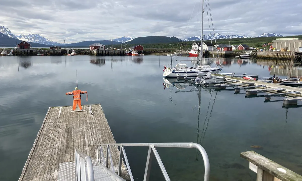 Lenangsøyra: Ved denne flytebrygga er det grunt i indre del ca 0,5m, men fortøyer mindre seglbåtar med baug inn mot land går det fint då då ytre del har god dybde.