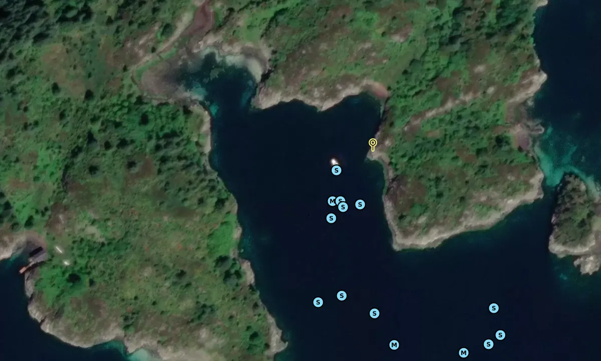 Satelite image of Lerøy 