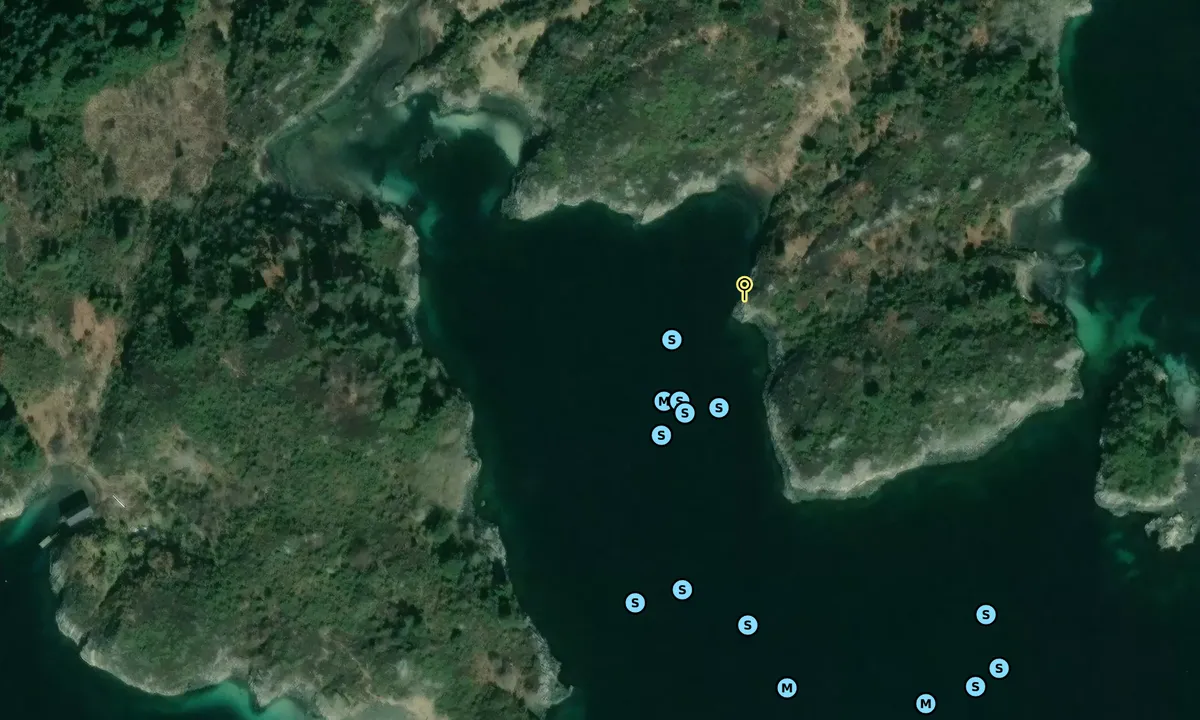 Satelite image of Lerøy 