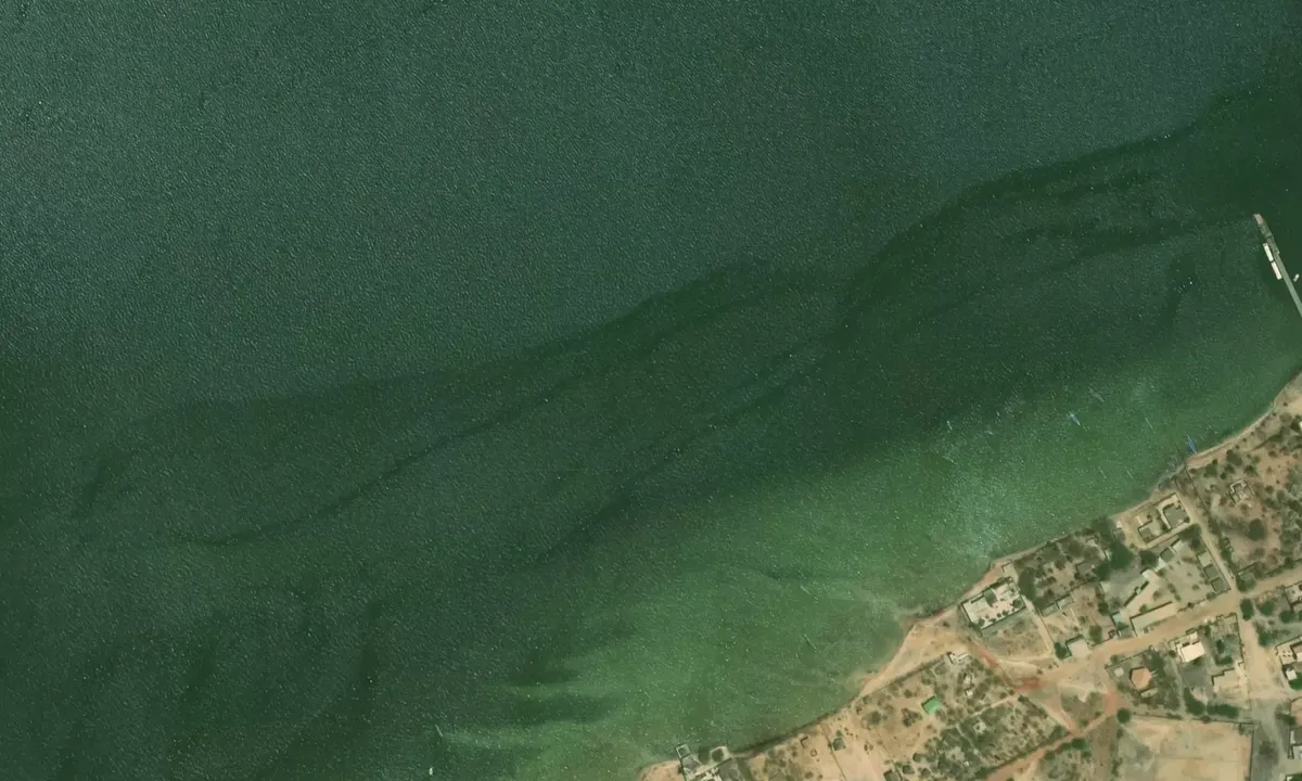 Satelite image of Les piroguiers