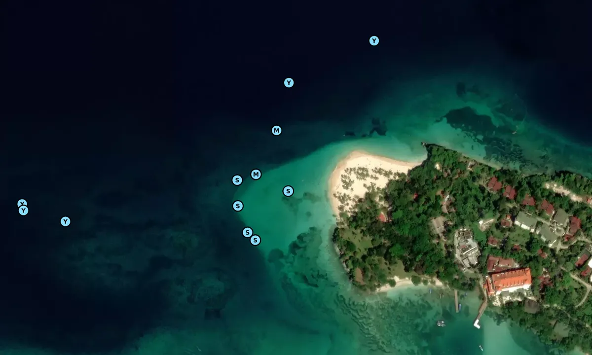 Satelite image of Levantado Bacardi Beach
