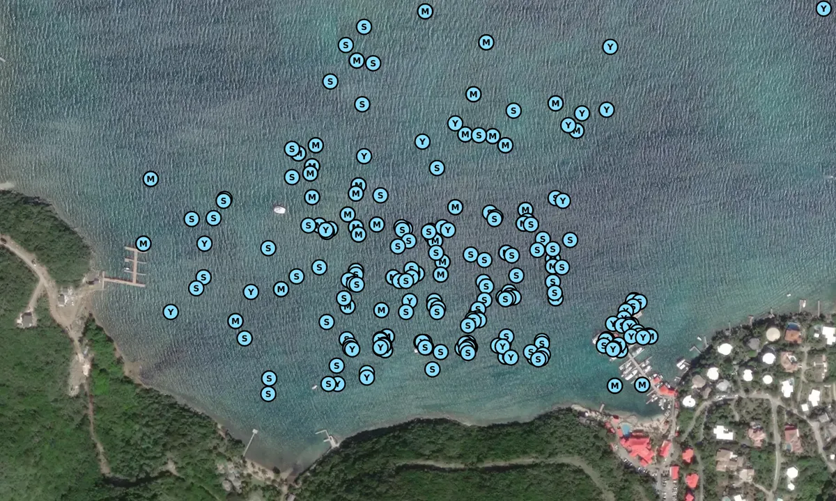 Satelite image of Leverick Bay - Spanish Town