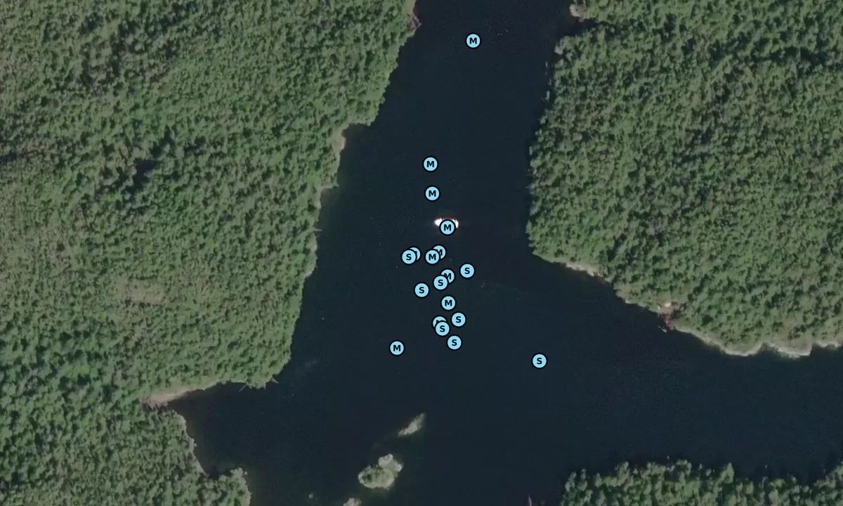 Satelite image of Lewall Inlet