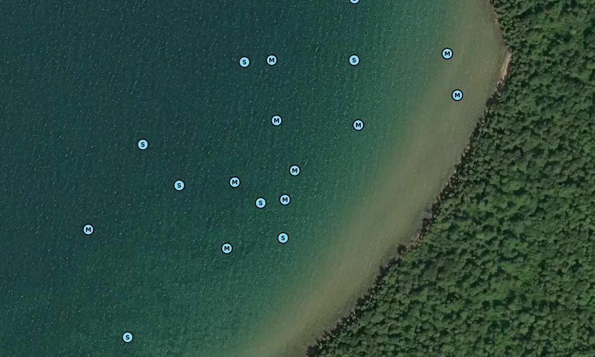 Satelite image of Lighthouse Bay 2