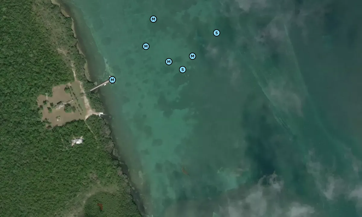 Satelite image of Lignumvitae Key - 1