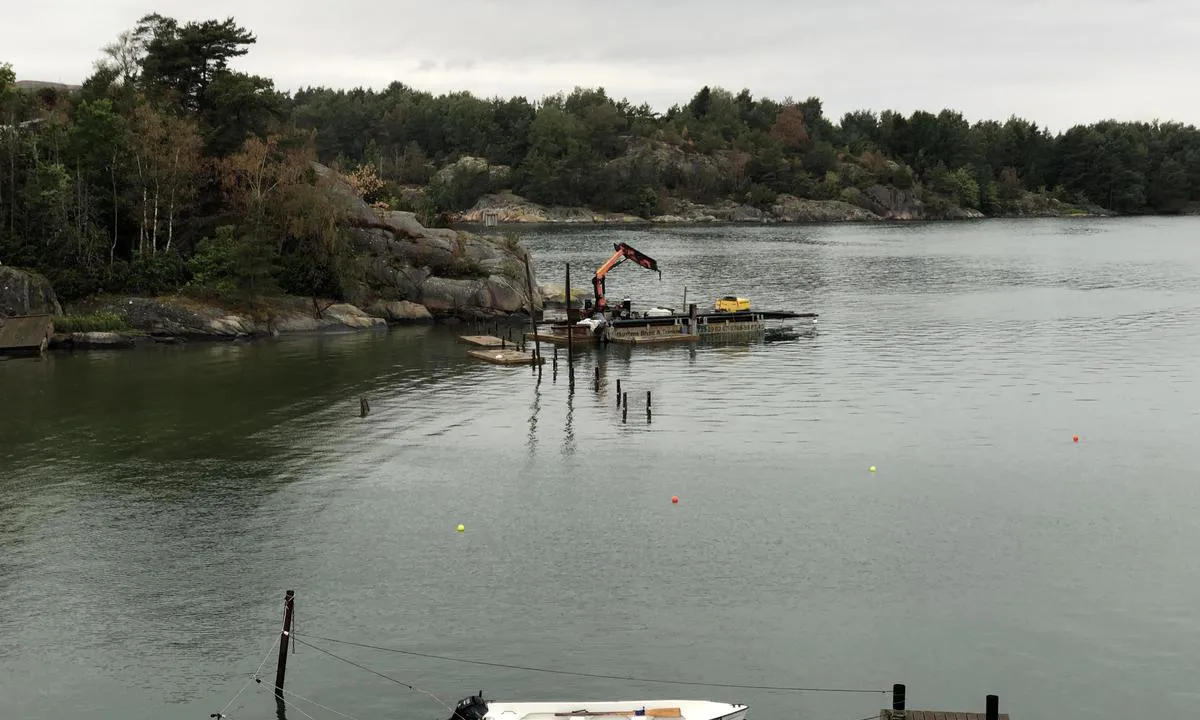 {"base": "en", "no": "I juli 2023 ble bryggen p\u00e5 s\u00f8rsiden av havnen ved Lilla Bratt\u00f6n fjernet for arbeid/forbedringer.", "se": "I juli 2023 togs bryggan p\u00e5 s\u00f6dra sidan av hamnen vid Lilla Bratt\u00f6n bort f\u00f6r arbete/f\u00f6rb\u00e4ttringar.", "en": "In july 2023 the pier on the south side of the harbour at Lilla Bratt\u00f6n was removed for work/improvements.", "da": "I juli 2023 blev molen p\u00e5 sydsiden af havnen ved Lilla Bratt\u00f6n fjernet for arbejde/forbedringer."}
