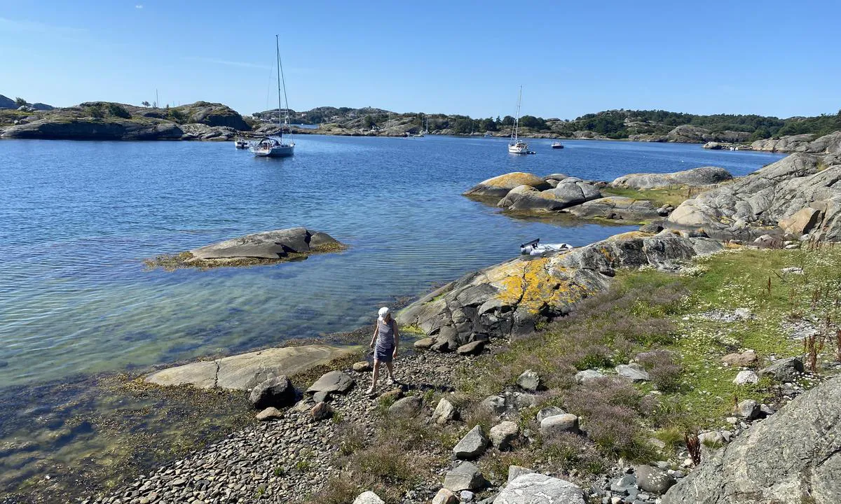 {"base": "no", "no": "Plass til 3-4 b\u00e5ter p\u00e5 svai, grunt med mye gress innerst i bukta mot Lilla Dyr\u00f6n, ellers greit feste. Flere plasser man kan g\u00e5 inntil berget.", "se": "Plats f\u00f6r 3-4 b\u00e5tar p\u00e5 svaj, grunt med mycket gr\u00e4s l\u00e4ngst in i viken mot Lilla Dyr\u00f6n, annars bra f\u00e4ste. Flera platser d\u00e4r man kan g\u00e5 intill berget.", "en": "Room for 3-4 boats to anchor, shallow with a lot of grass at the innermost part of the bay towards Lilla Dyr\u00f6n, otherwise good holding. Several spots where you can go alongside the rock.", "da": "Plads til 3-4 b\u00e5de p\u00e5 svaj, lavvandet med meget gr\u00e6s inderst i bugten mod Lilla Dyr\u00f6n, ellers godt ankerfeste. Flere steder hvor man kan fort\u00f8je ved klippen."}