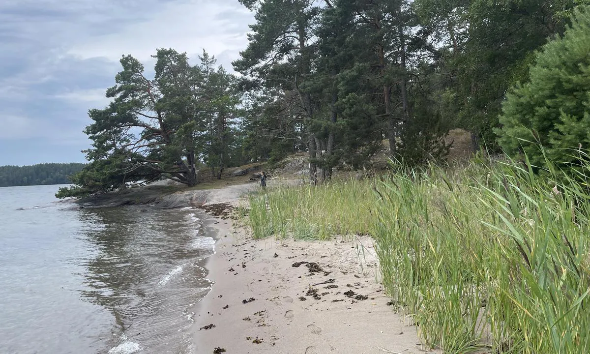 Lilla Sandön: {"base": "se", "no": "\u00d8stre stranden", "se": "\u00d6stra stranden", "en": "Eastern beach", "da": "\u00d8stre strand", "fr": "Plage de l'Est", "de": "\u00d6stra Stranden", "es": "Playa del Este", "it": "Spiaggia orientale", "pt": "Praia do Leste", "nl": "Oostelijke Strand", "pl": "Wschodnia pla\u017ca", "uk": "\u0421\u0445\u0456\u0434\u043d\u0438\u0439 \u043f\u043b\u044f\u0436", "ro": "Plaja de est", "tr": "Do\u011fu sahili", "el": "\u0391\u03bd\u03b1\u03c4\u03bf\u03bb\u03b9\u03ba\u03ae \u03c0\u03b1\u03c1\u03b1\u03bb\u03af\u03b1", "cs": "V\u00fdchodn\u00ed pob\u0159e\u017e\u00ed", "hu": "Keleti strand", "fi": "It\u00e4inen ranta", "bg": "\u0418\u0437\u0442\u043e\u0447\u0435\u043d \u043f\u043b\u0430\u0436", "sr": "Isto\u010dna pla\u017ea", "et": "Ida rand", "lv": "Austrumu pludmale", "lt": "Rytin\u0117 pakrant\u0117"}
