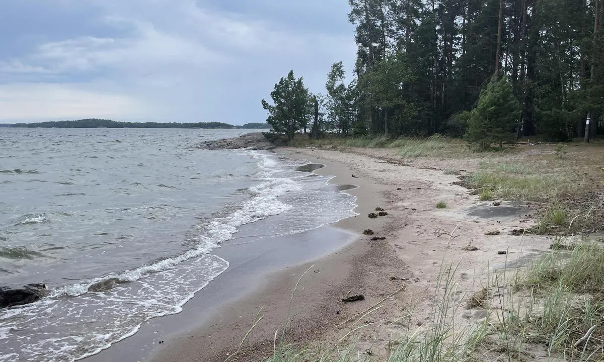 Lilla Sandön: {"base": "se", "no": "Nord\u00f8stre stranden", "se": "Nord\u00f6stra stranden", "en": "Northeastern Beach", "da": "Nordoestlige strand", "fr": "Plage nord-est", "de": "Nord\u00f6stlichen Strand", "es": "Playa noreste", "it": "Spiaggia nordorientale", "pt": "Praia nordeste", "nl": "Noordoostelijke strand", "pl": "P\u00f3\u0142nocno-wschodnia pla\u017ca", "uk": "\u041f\u0456\u0432\u043d\u0456\u0447\u043d\u043e-\u0441\u0445\u0456\u0434\u043d\u0435 \u0443\u0437\u0431\u0435\u0440\u0435\u0436\u0436\u044f", "ro": "Plaja nord-estic\u0103", "tr": "Kuzeydo\u011fu sahil", "el": "\u0392\u03bf\u03c1\u03b5\u03b9\u03bf\u03b1\u03bd\u03b1\u03c4\u03bf\u03bb\u03b9\u03ba\u03ae \u03c0\u03b1\u03c1\u03b1\u03bb\u03af\u03b1", "cs": "Severov\u00fdchodn\u00ed pl\u00e1\u017e", "hu": "\u00c9szakkeleti part", "fi": "Koillisranta", "bg": "\u0421\u0435\u0432\u0435\u0440\u043e\u0438\u0437\u0442\u043e\u0447\u043d\u0438\u044f\u0442 \u0431\u0440\u044f\u0433", "sr": "Severoisto\u010dna pla\u017ea", "et": "Kirderand", "lv": "Zieme\u013caustrumu pludmale", "lt": "\u0160iaur\u0117s ryt\u0173 papl\u016bdimys"}