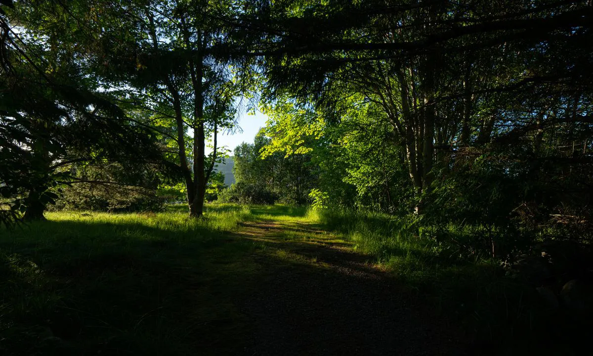 Lille Kalvøy