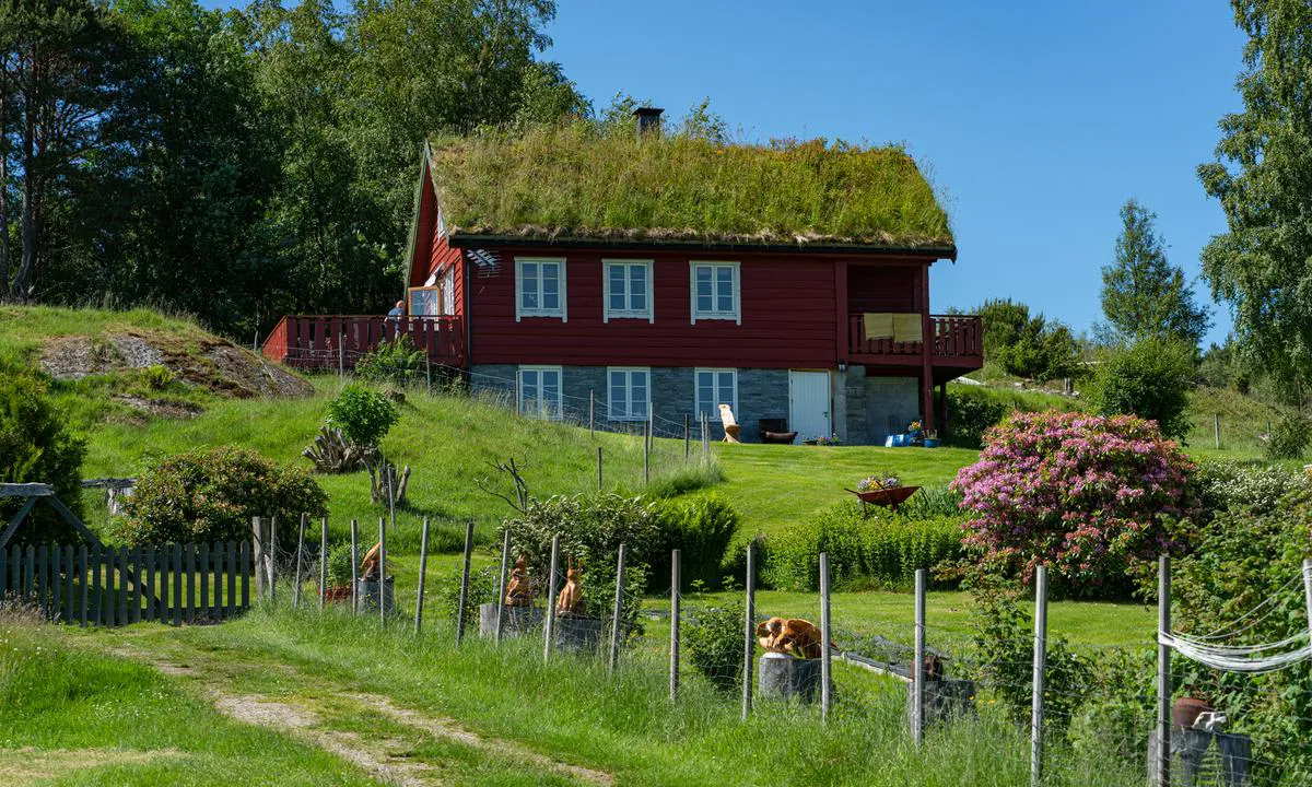 Lille Kalvøy