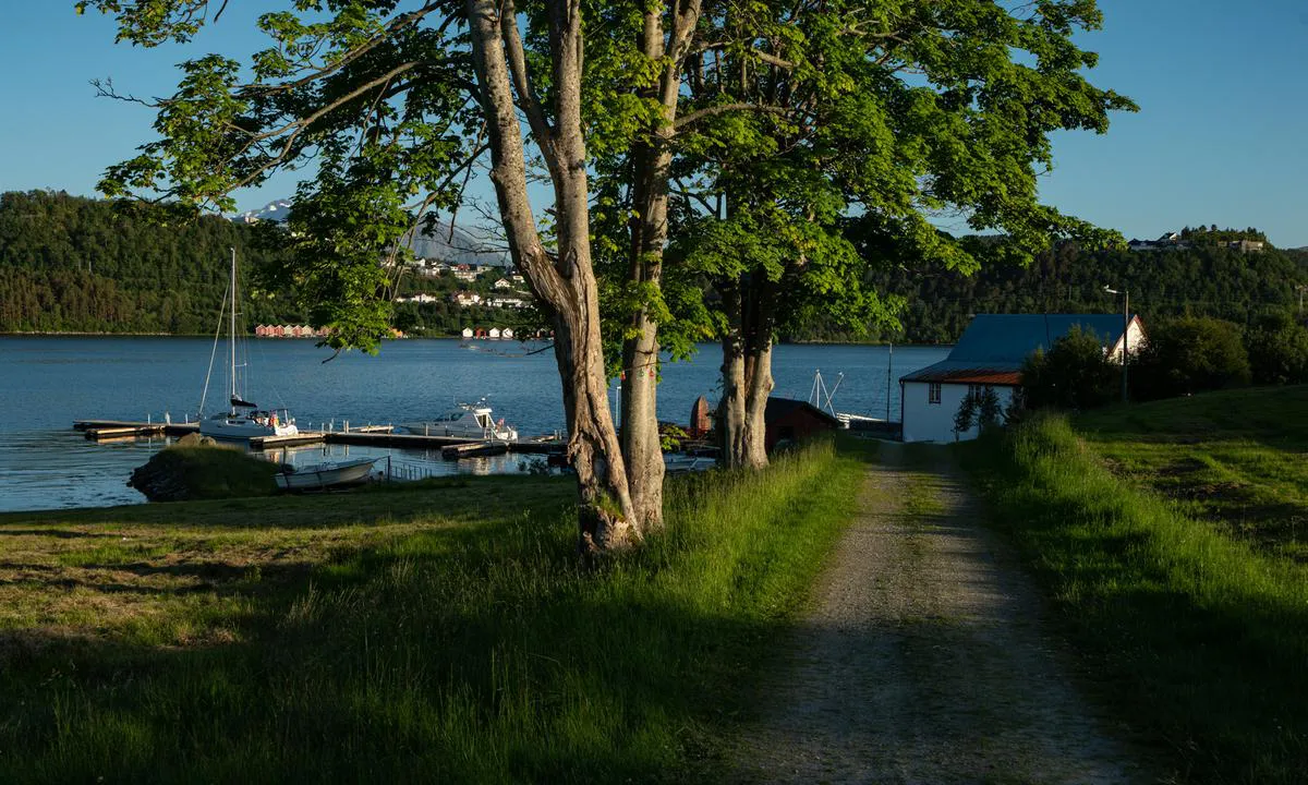 Lille Kalvøy