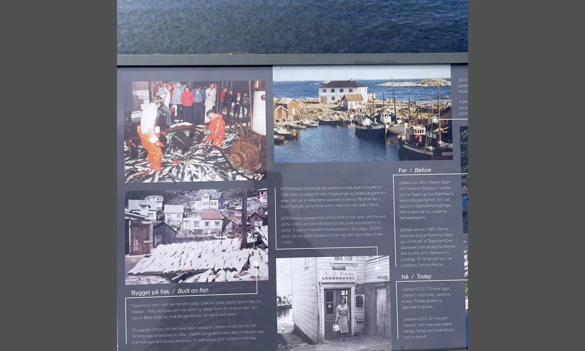 {"base": "no", "no": "Lillehavn historie", "se": "Lillehamn historia", "en": "Lillehavn history", "da": "Lillehavn historie"}