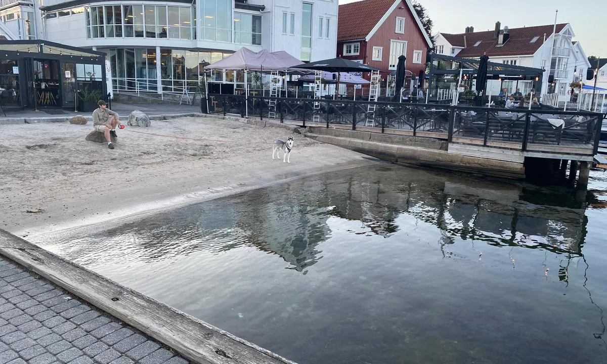 Lillesand Gjestehavn: {"base": "no", "no": "Liten sandstrand for de minste.", "se": "Liten sandstrand f\u00f6r de minsta.", "en": "Small sandy beach for the little ones.", "da": "Lille sandstrand til de mindste."}