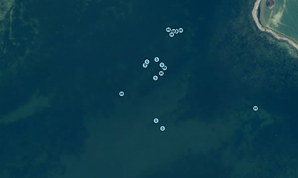 Satelite image of Lindelse Nor bouy