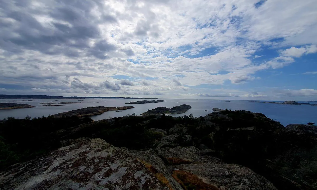 Lindholmen: Fra toppen av øya er det fin utsikt ut Tønsberg fjorden.