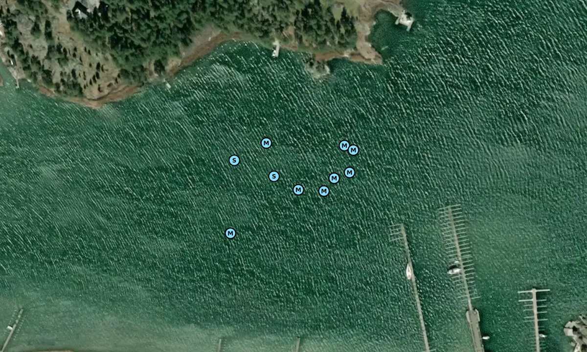 Satelite image of Lindö-fjärden