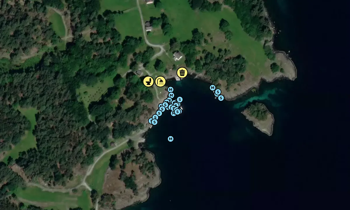 Flyfoto av Lindøy