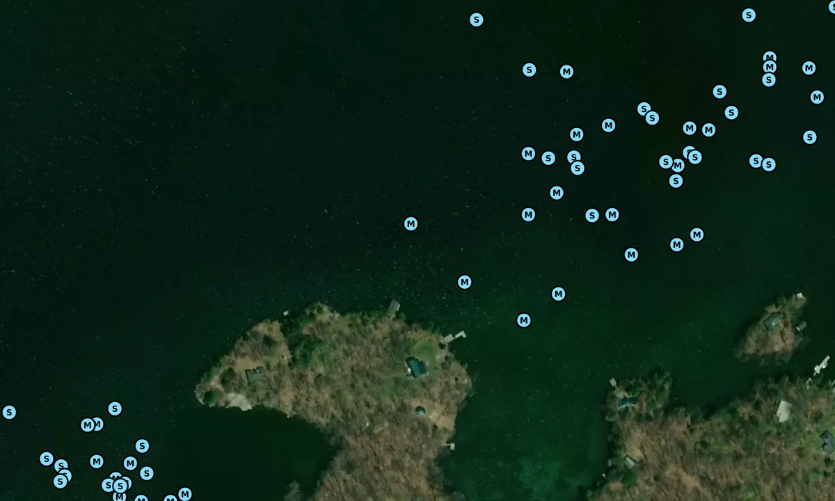 Satelite image of Lindsay Island - 1
