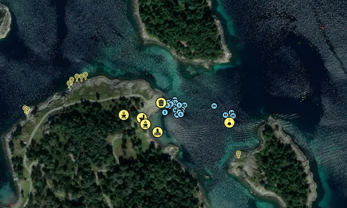 Satelite image of Linehamna