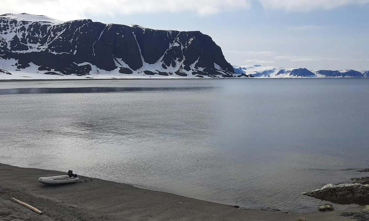 Lingbukta