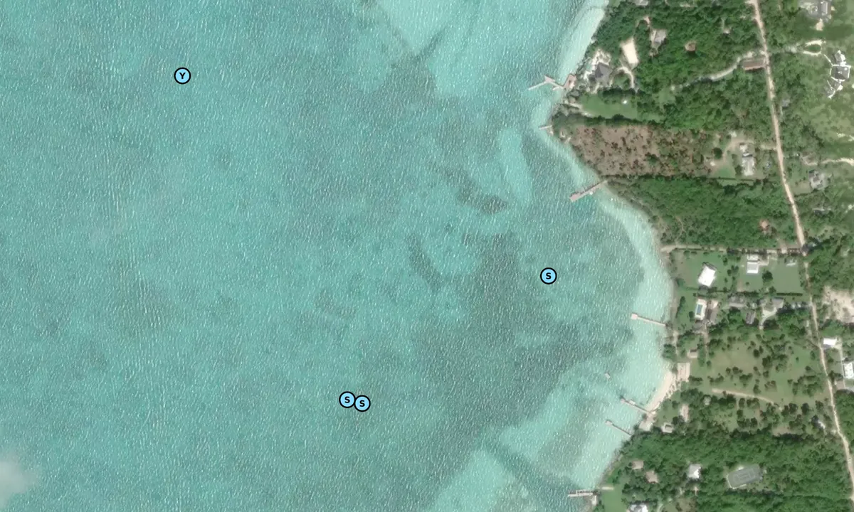 Satelite image of Little Bay 2