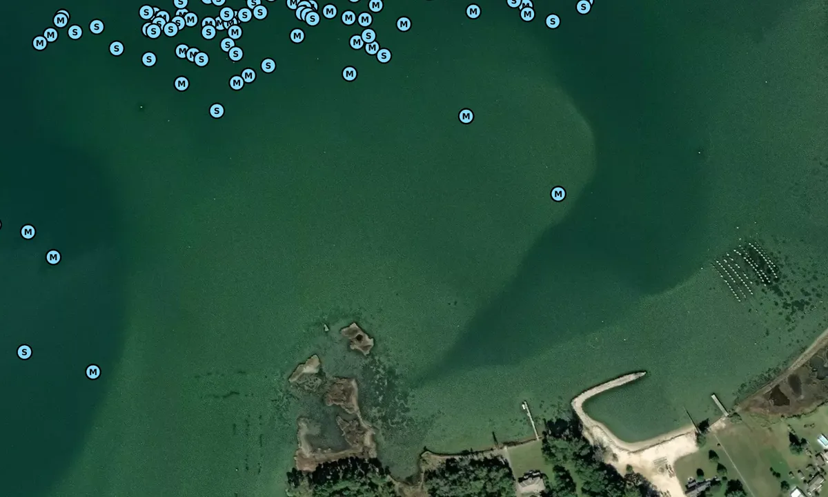 Satelite image of Little Bay - Foxwells