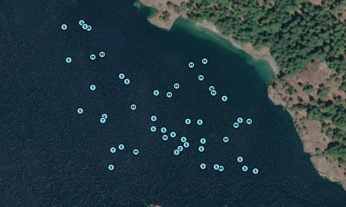 Satelite image of Little Bull Passage