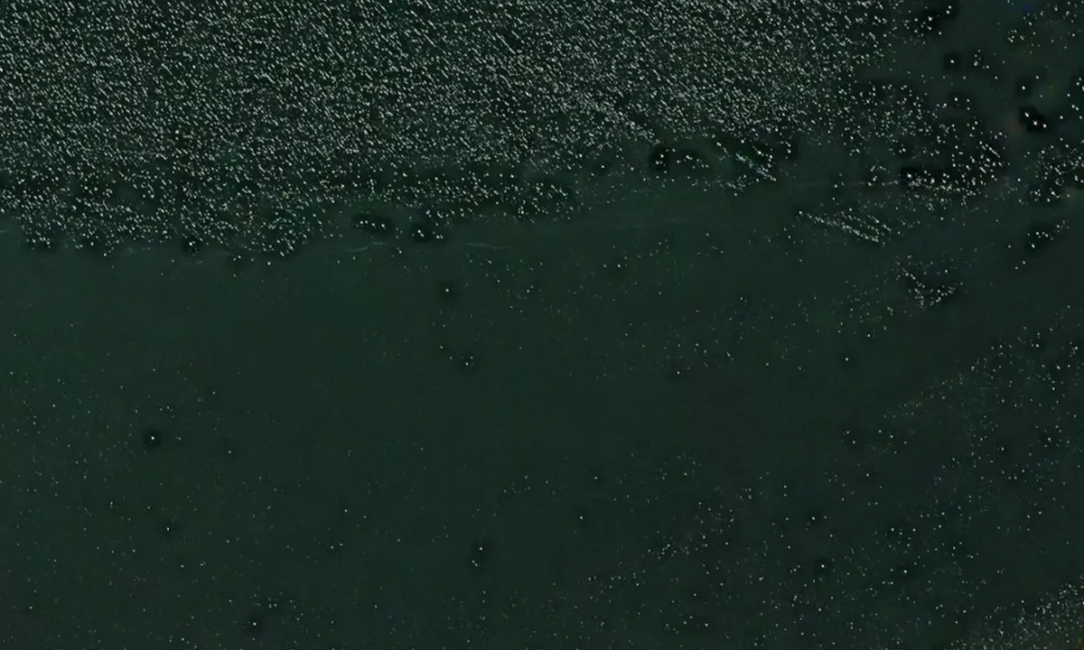 Satelite image of Little Hamilton Island