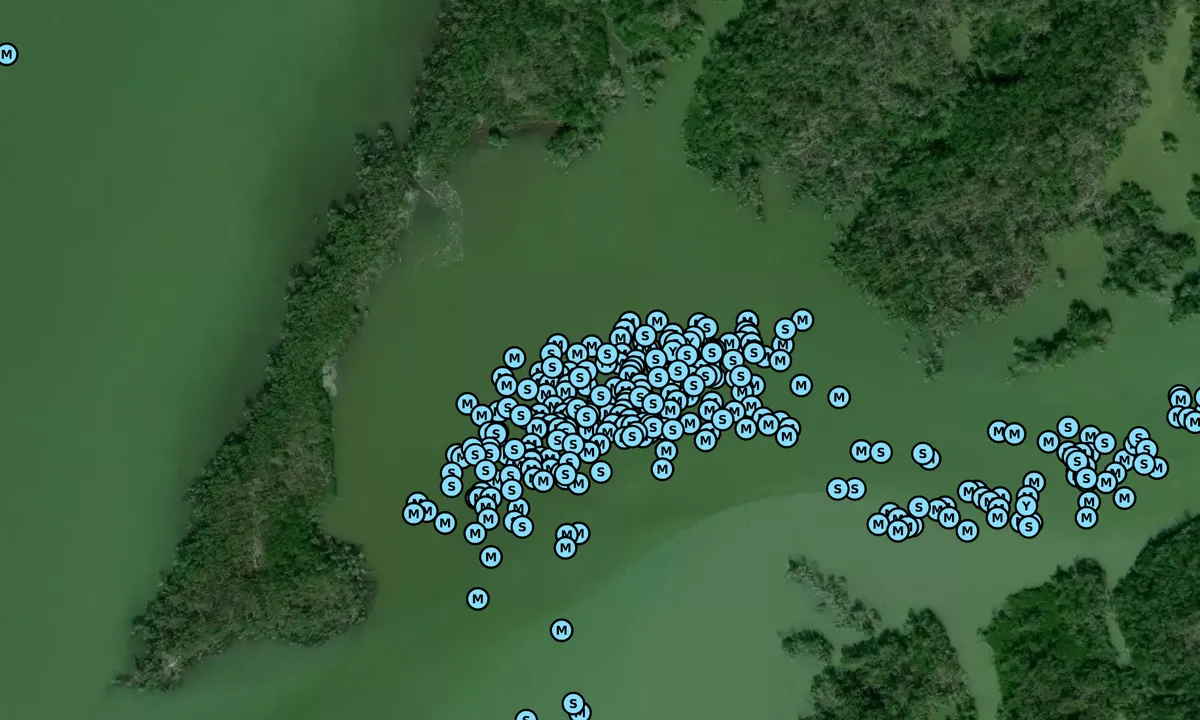Satelite image of Little Shark River Bay