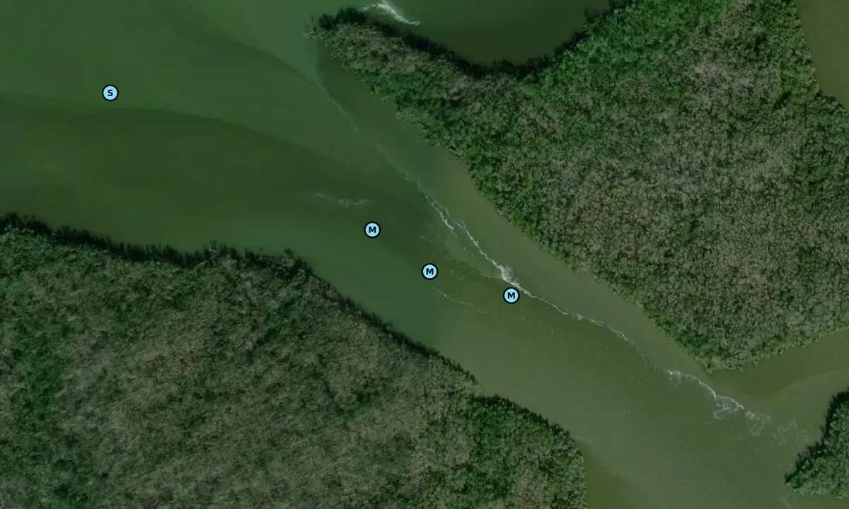Satelite image of Little Shark River Channel